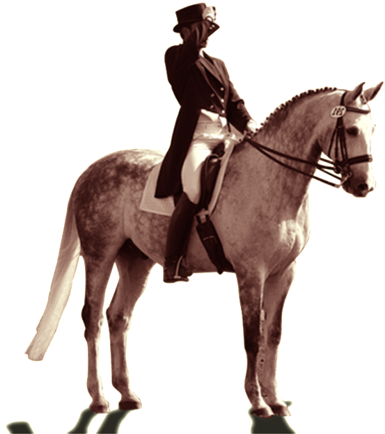 Pintado Caballo Png - Knight With Horse Png (1024x682), Png Download