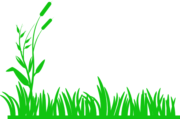 How To Set Use Meadow Clipart (600x396), Png Download