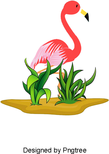 Vector Flamingos, Flamingos, Red, Hand Painted Flamingos - Psd (800x800), Png Download