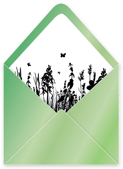 Meadow Envelope Liner Grass Green - Envelope (440x598), Png Download