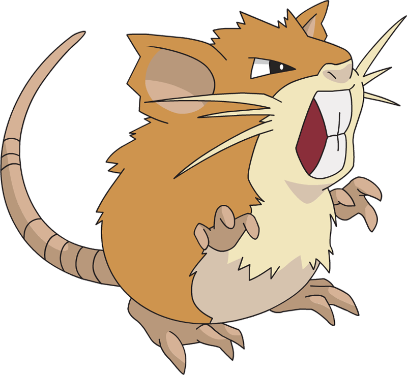 Cxh0-sgweaajegr - Pokemon Raticate (800x738), Png Download