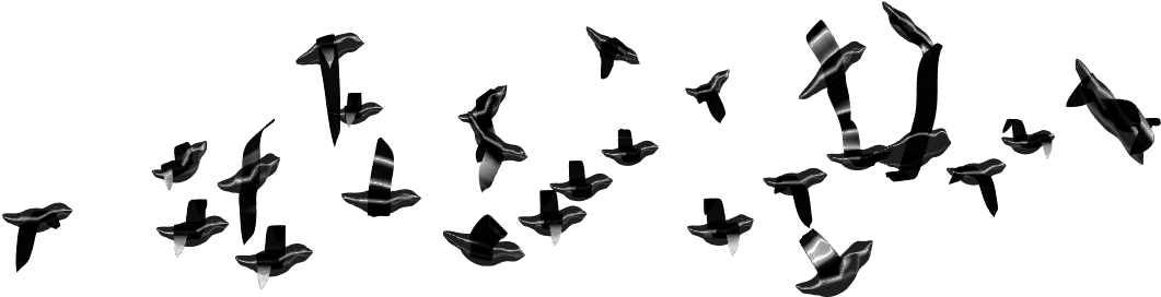 Aca Les Compartimos Unas Cuantas Imágenes De Aves En - Portable Network Graphics (1290x649), Png Download