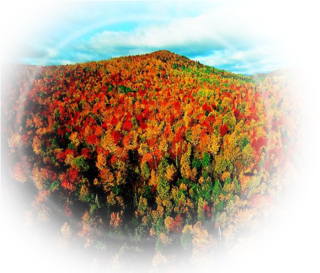 Paisajes Y Flores Png - Die Erde Von Oben 3 [de-version] Dvd (720x540), Png Download