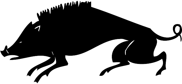 Boar, Wild Boar, Wild Pig, Pig, Animal, Hog, Black - Jabali Silueta Png (640x320), Png Download