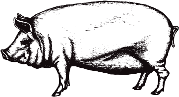 Smoke Out Festival Vip Pass - Drawing (396x396), Png Download