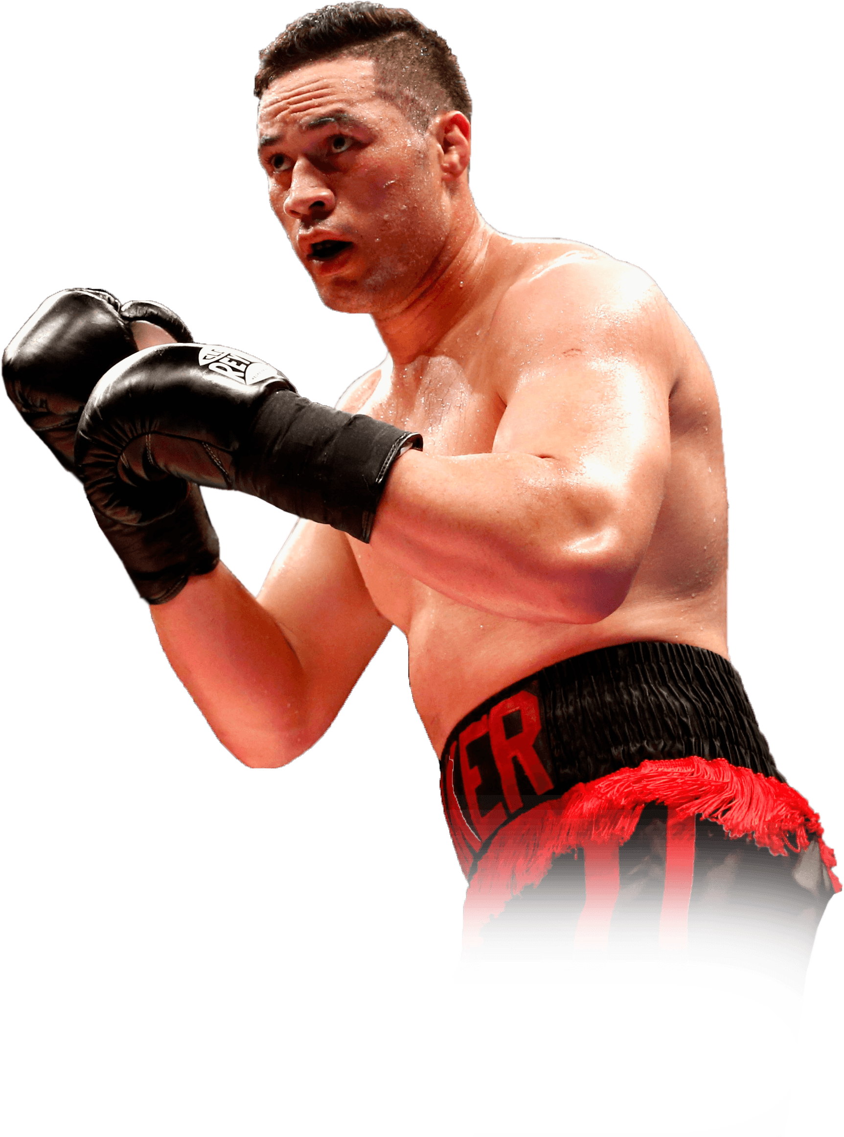 0 - Professional Boxing (1725x2324), Png Download