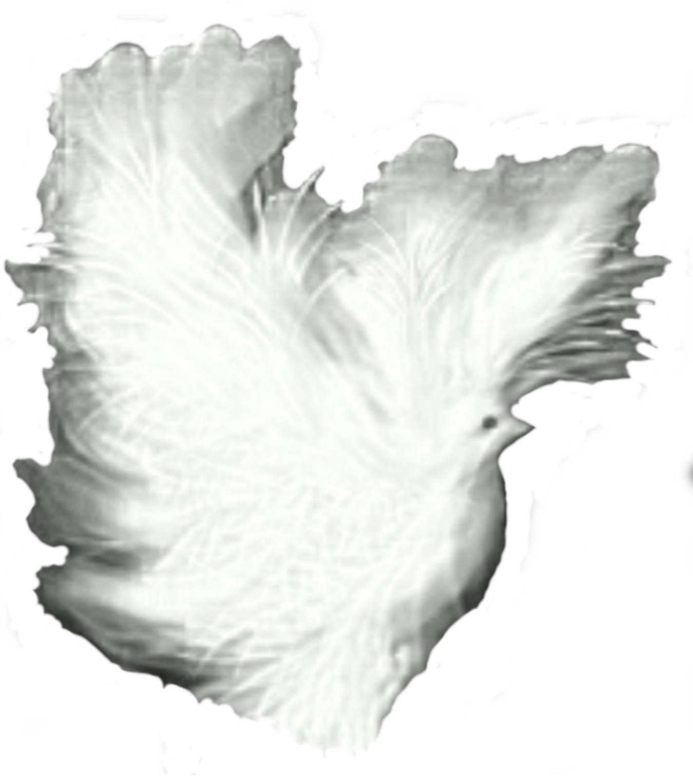 This Free Icons Png Design Of Dove Fantasy White Shadows (1350x1511), Png Download