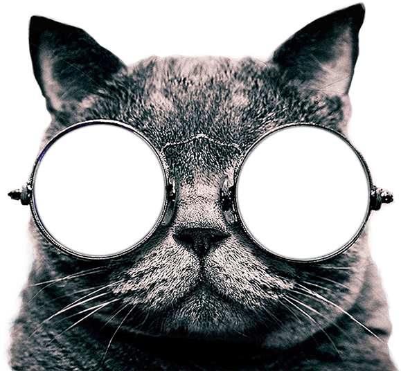 Cat Sticker - Cool Cat Canvas Poster Framed On Wood Frame,cat Picture (600x537), Png Download
