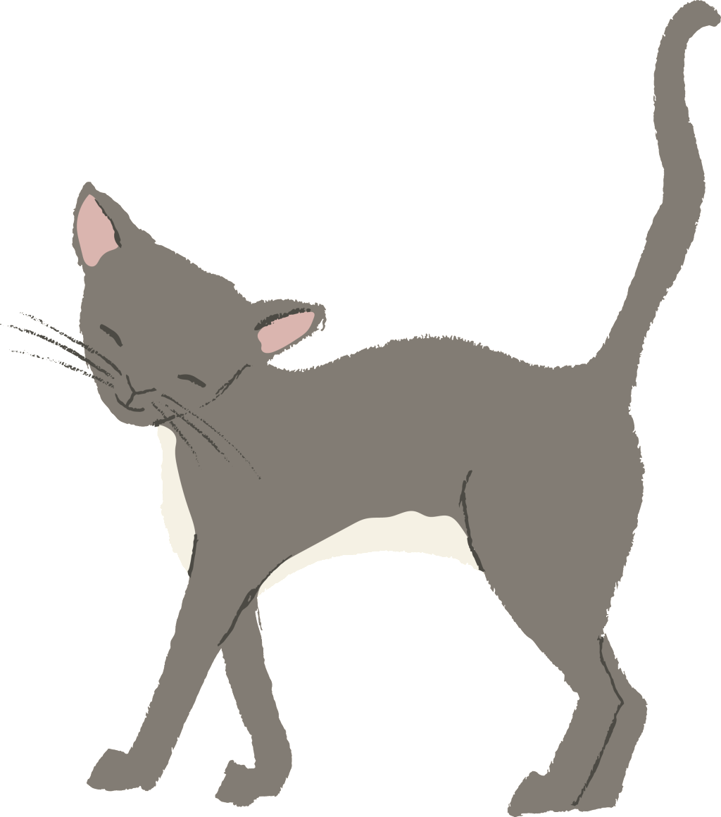 El Png Transparente Para El Gato De Dibujos Animados - Cat (1024x1160), Png Download