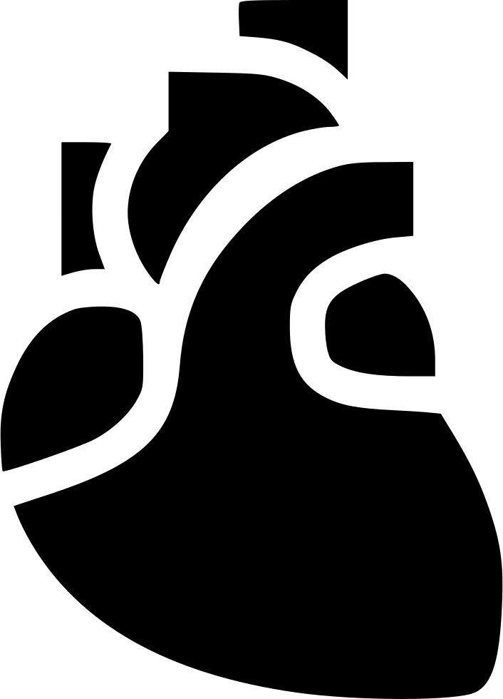 Heart Midical Breath Cardiology Organ Life Comments - Heart (706x980), Png Download