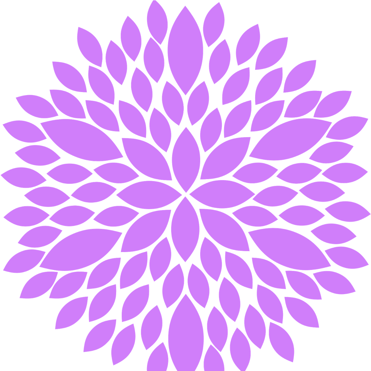 Transparent Download Flower Burst Clipart - 365 Days Of Happiness & Gratitude: Five Minutes (1600x1200), Png Download