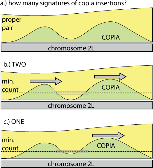 Diagram (500x565), Png Download