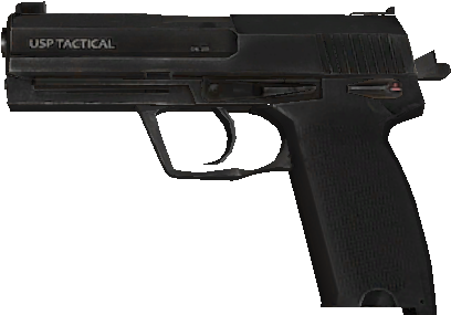 W Usps Nomag Unsil - Cz P10c (463x321), Png Download
