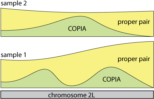 This Raises The Question How Signatures Of Te Insertions - Illustration (500x331), Png Download