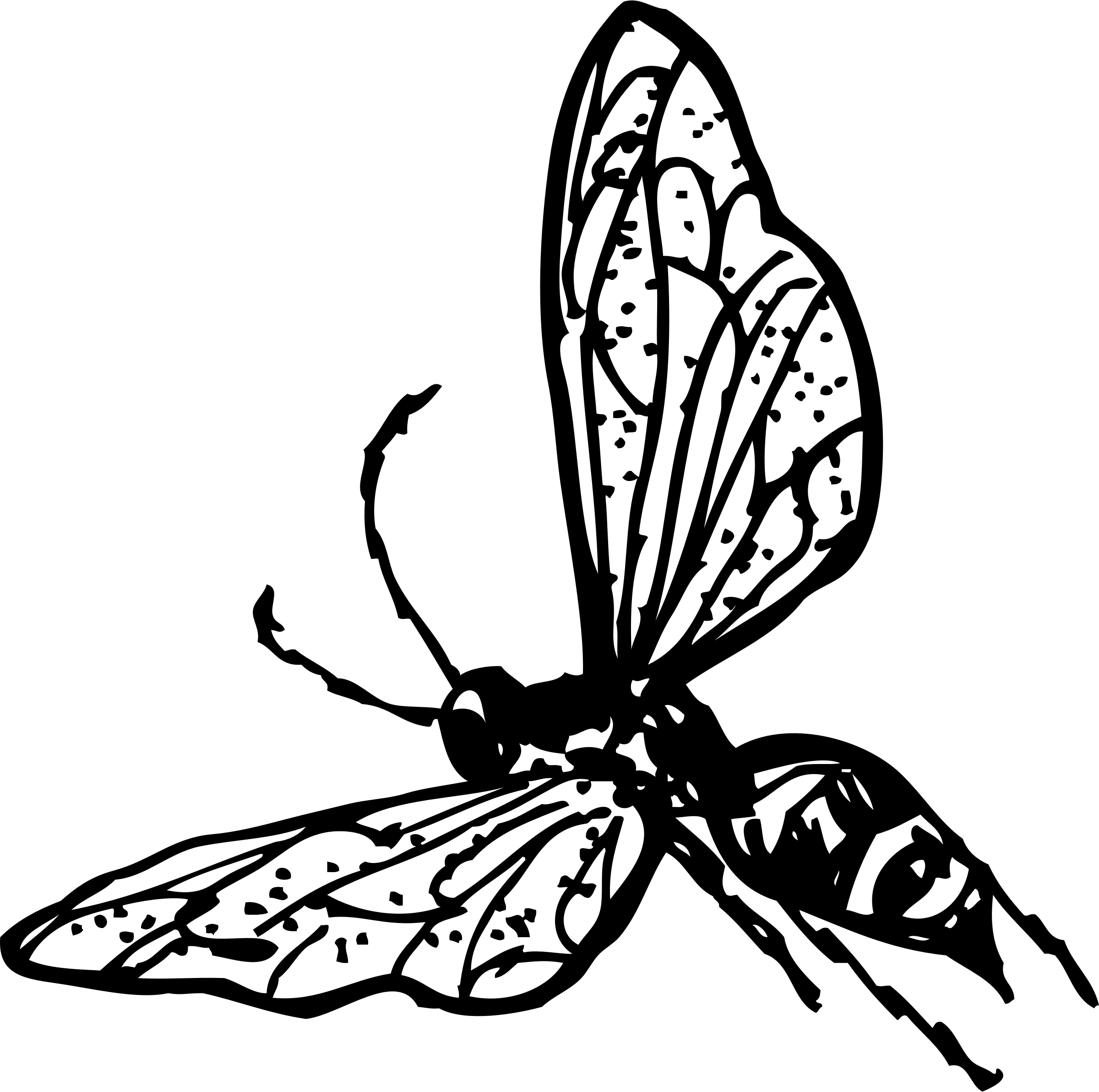 Wasp Png (2400x2384), Png Download