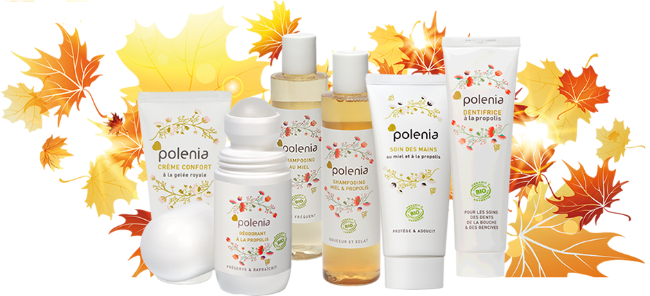 October - Shampooing Bio Miel Et Propolis (980x430), Png Download