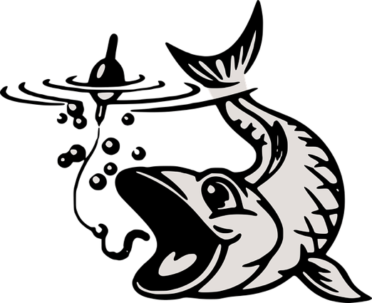 This Was A Phishing Awareness Email From Uf Health - Clip Art Fish On Hook (522x425), Png Download