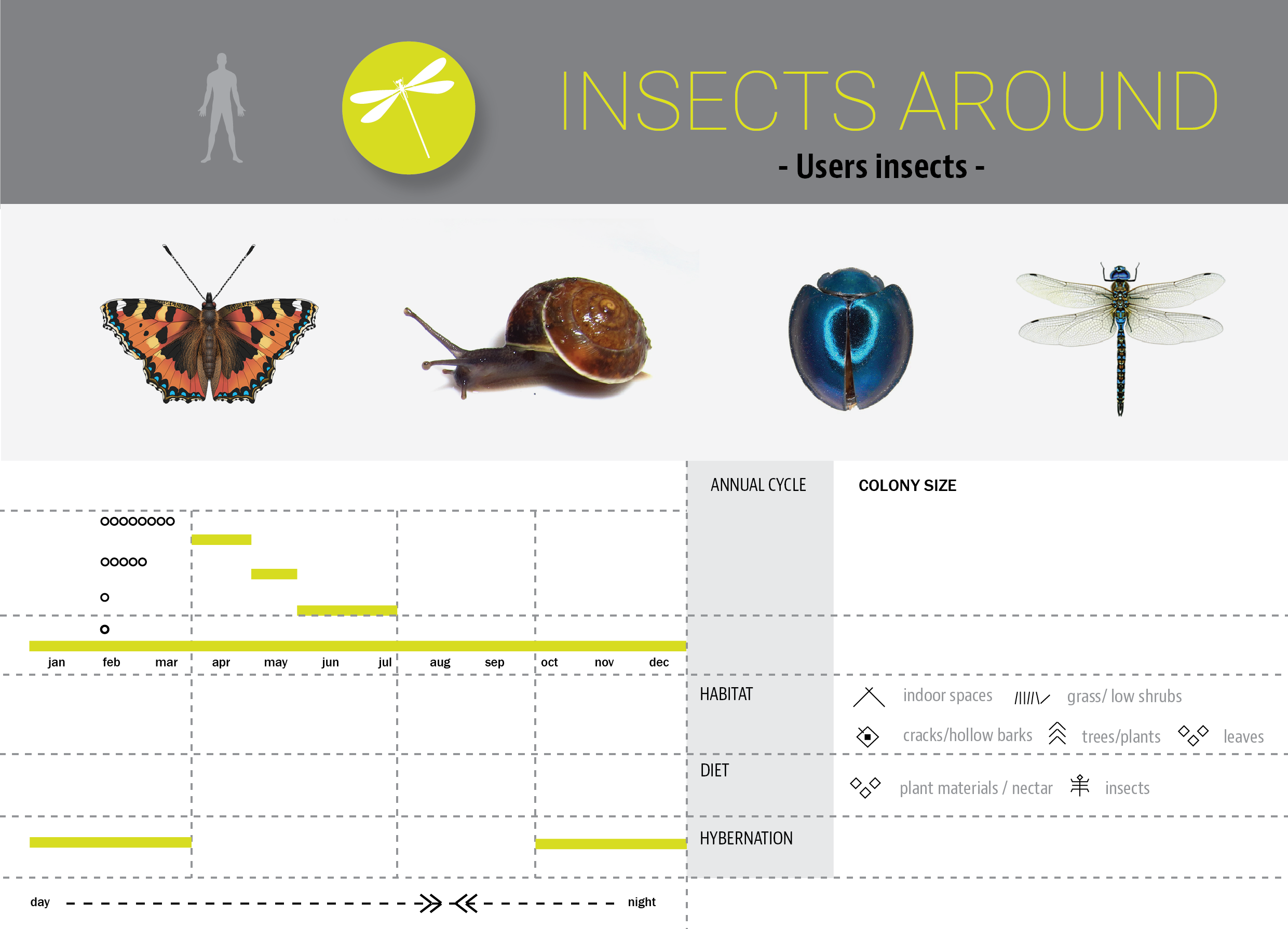 Products Hyperbody 05 Insects Around - Net-winged Insects (2481x1790), Png Download