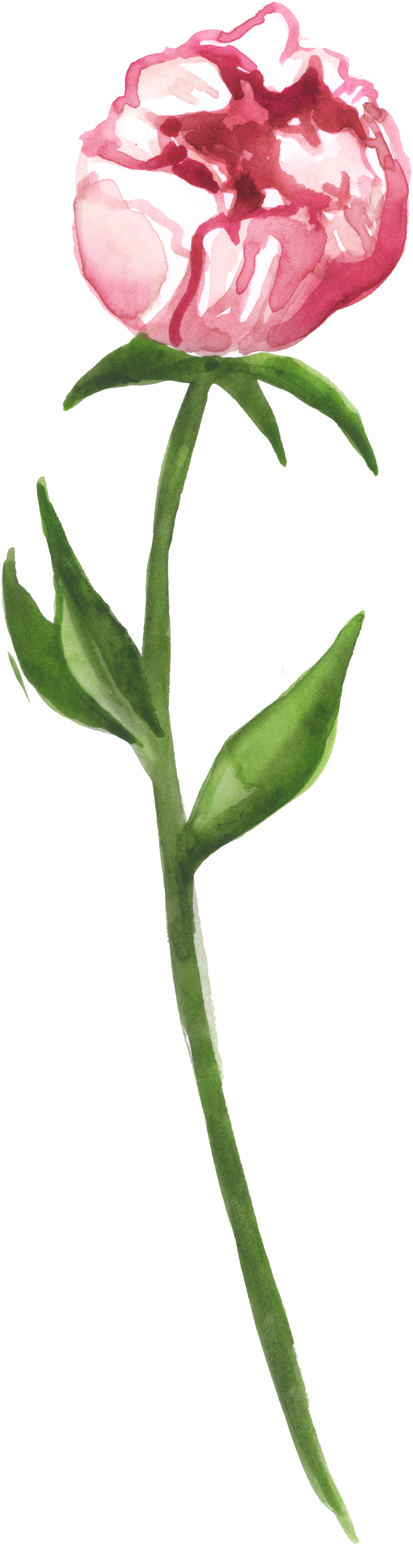 Wrapped Flower Heart Transparent Decorative - Cartoon (934x3500), Png Download