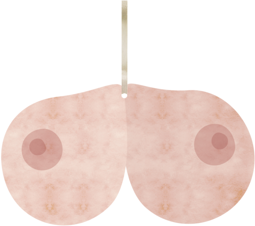 Boob - Wood (600x585), Png Download