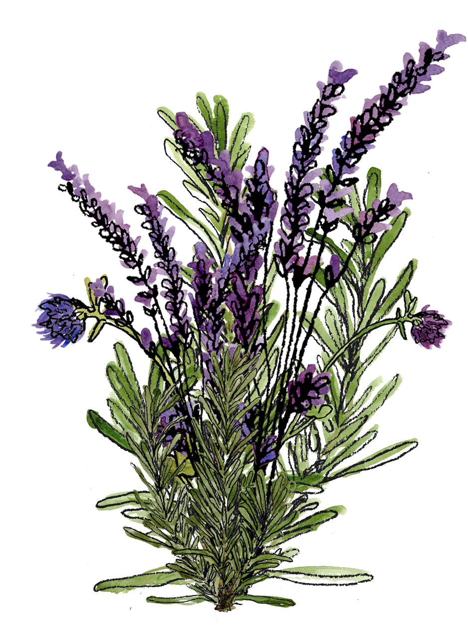 Download Download Watercolor - Flower Bouquet - Full Size PNG Image ...