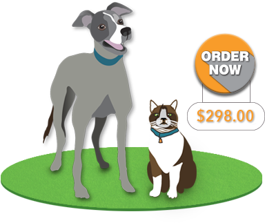 Order Now Cat Dog - Dog Catches Something (540x345), Png Download