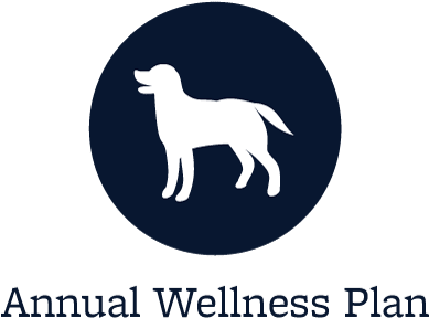 Animal Hospital Wellness Plans Offered In Cypress - Starch Pet Hospital (400x321), Png Download