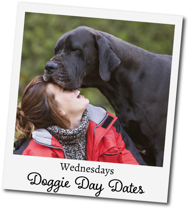 Giant Low Energy Dogs (650x721), Png Download