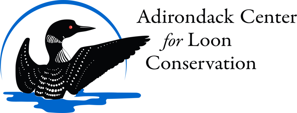 Aclc Logo Bt Right 4 18 - Adirondack Center For Loon Conservation (1000x380), Png Download