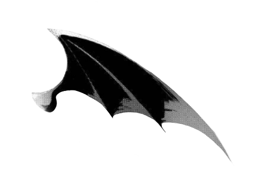 Succubus Wing Manga The Right Wing Freetoedit - Manga (1024x1048), Png Download