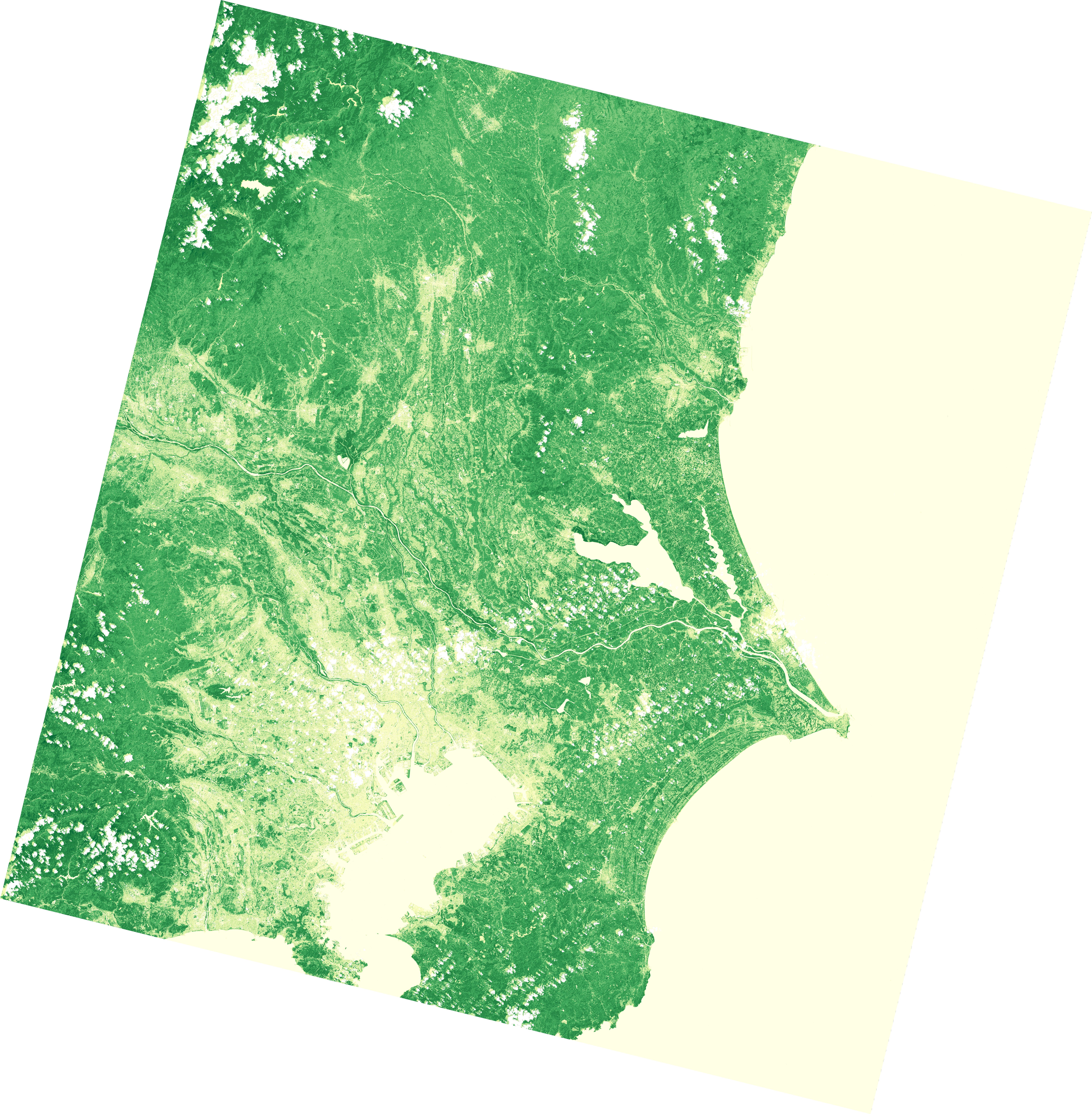 Sample Ndvi Thumbail (7751x7891), Png Download