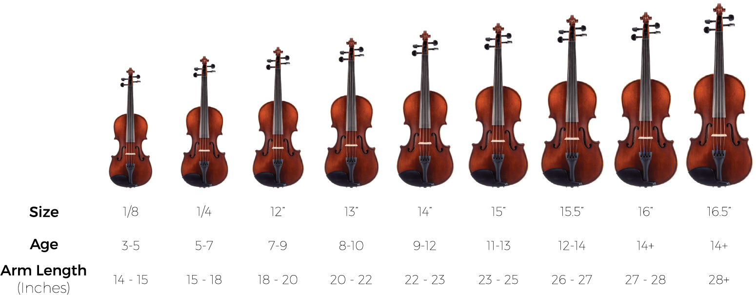 Specs - Eastman Vl405 4/4 Violin (1550x606), Png Download