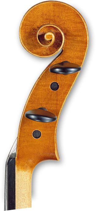 I Am Still Trying To Find My Ideal Viola Tone - Viola (314x690), Png Download