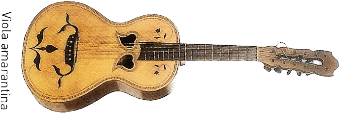 The Amarante Viola Has 5 Double Strings Orders - Viola (738x344), Png Download
