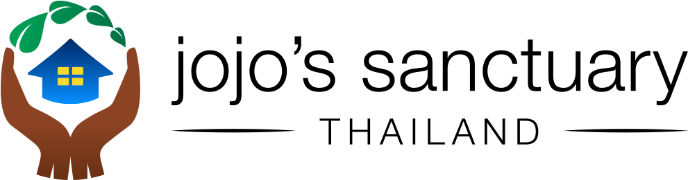 Jojoswedbanner Transparentbg - Non-governmental Organization (1000x275), Png Download
