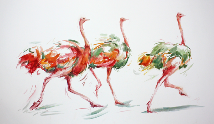 Dancing Trio A2 - Greater Flamingo (700x700), Png Download