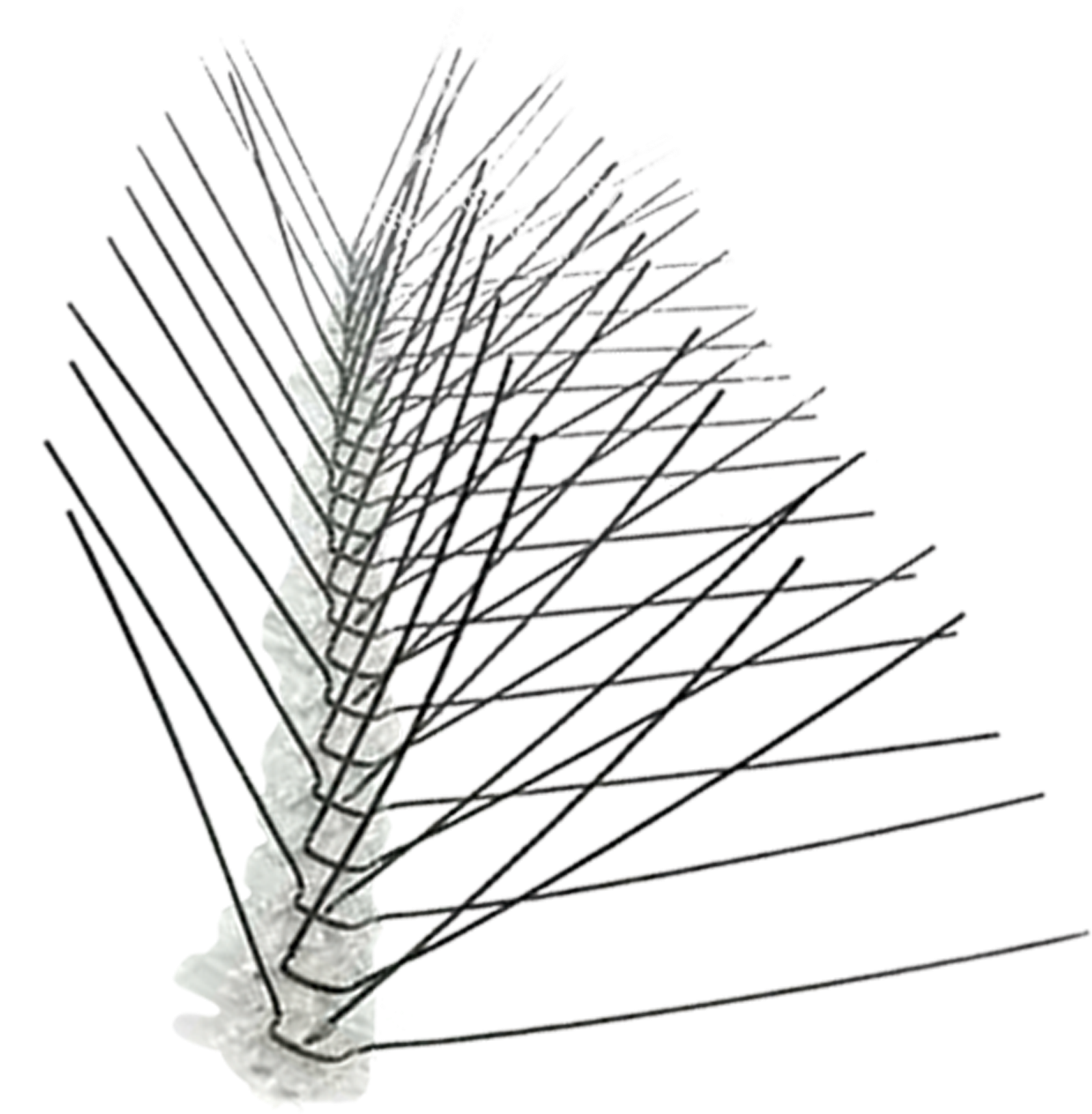 Stainless Steel Spikes 10′, 25′, 50′ And 100′ - Bird X Bird Spikes Stainless Steel (1772x1772), Png Download
