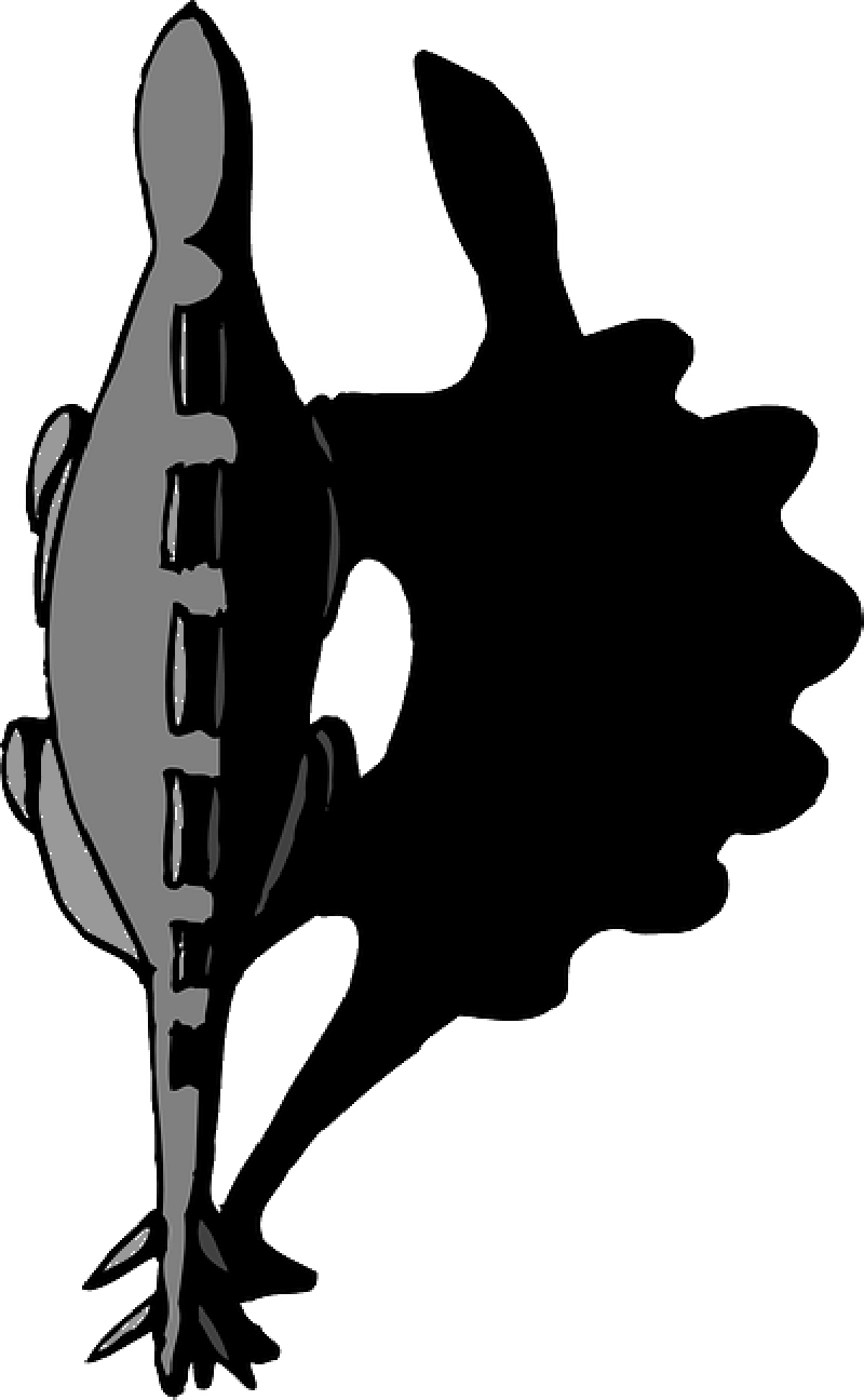 Mb Image/png - Shadow (800x1296), Png Download