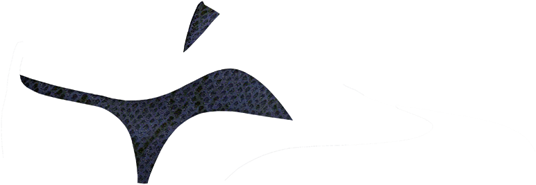 Fantasia-animal Print Navy - Lingerie (860x400), Png Download