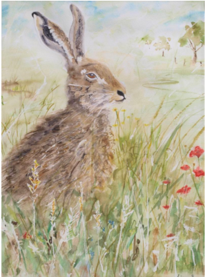 Hare's Breath - Hare (400x400), Png Download