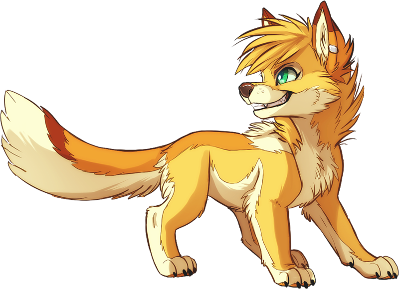 Wolf Pack Art 104 - Furry Yellow Wolf (800x580), Png Download