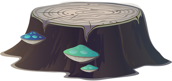 Tree Stump Tree Forest Trunk Nature Leaves - Tree Stump (680x340), Png Download