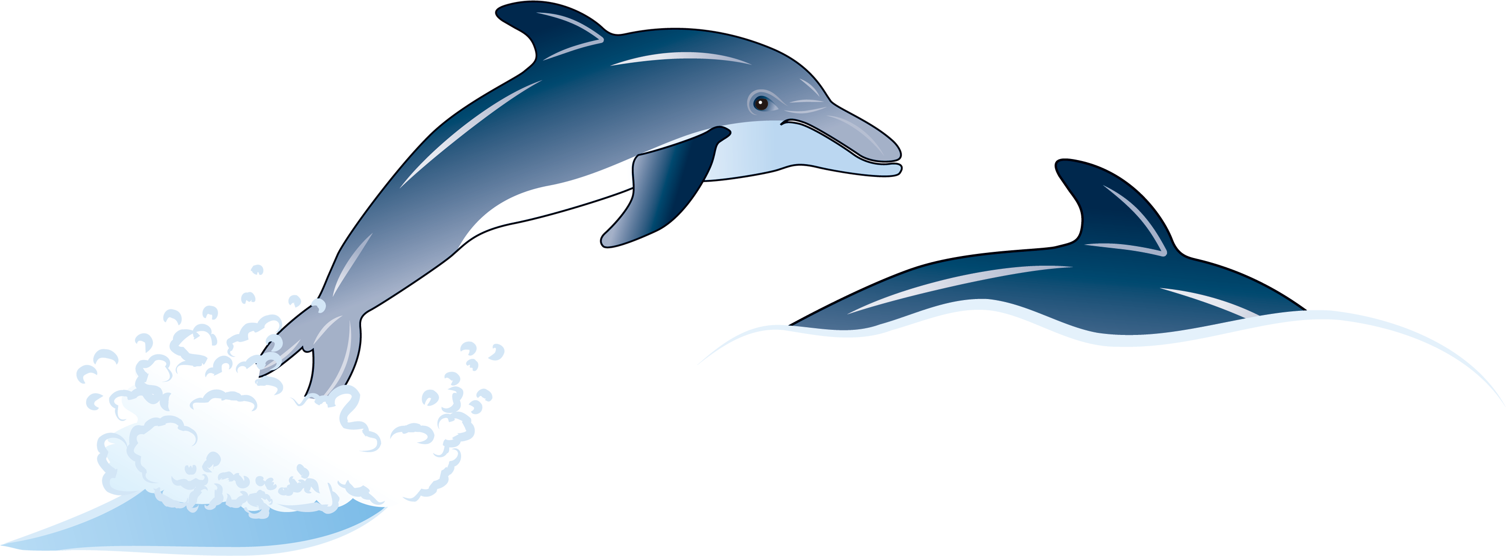 Porpoise Drawing Blue Dolphin - Dolphin Illustration Png (3622x2055), Png Download
