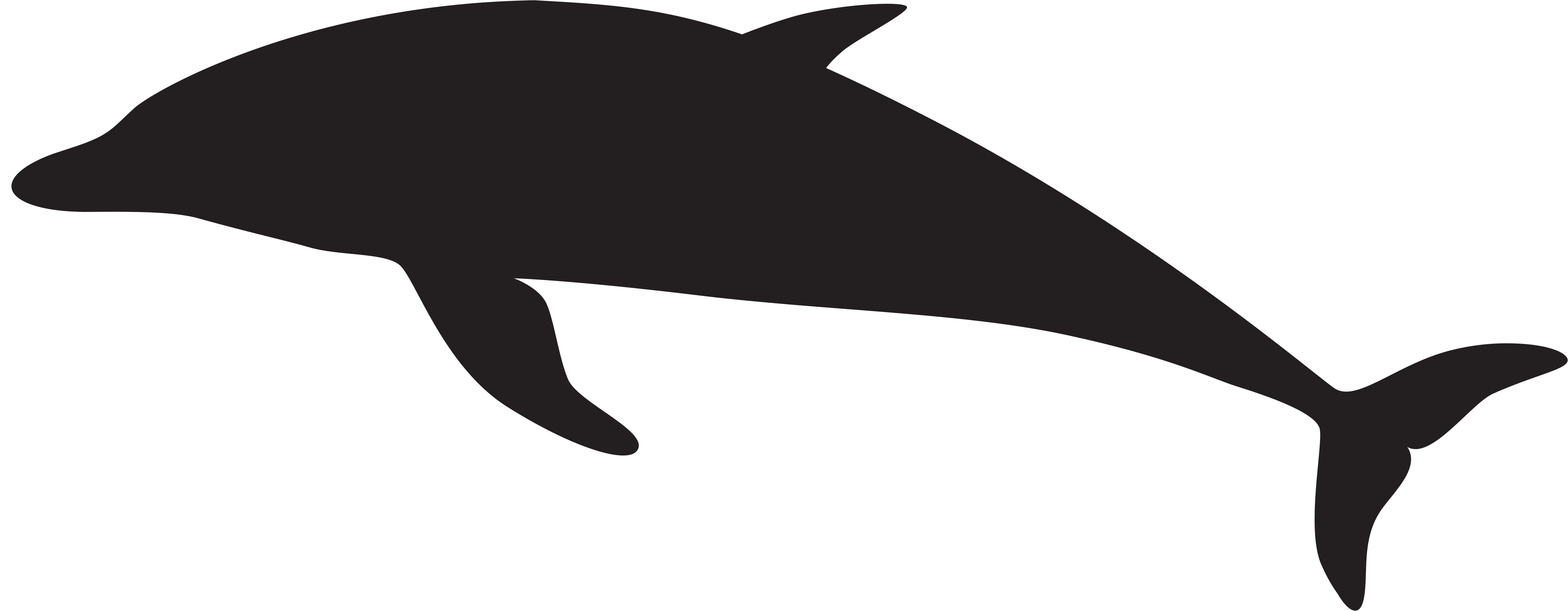 Dolphin Silhouette Png Picture Free Download - Dolphin Silhouette Png (8000x3210), Png Download