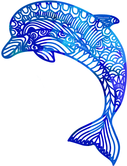 Dolphin1 Copy - Portable Network Graphics (478x588), Png Download