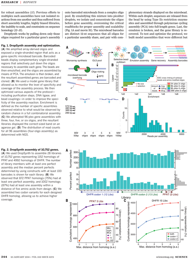 Plan (729x929), Png Download
