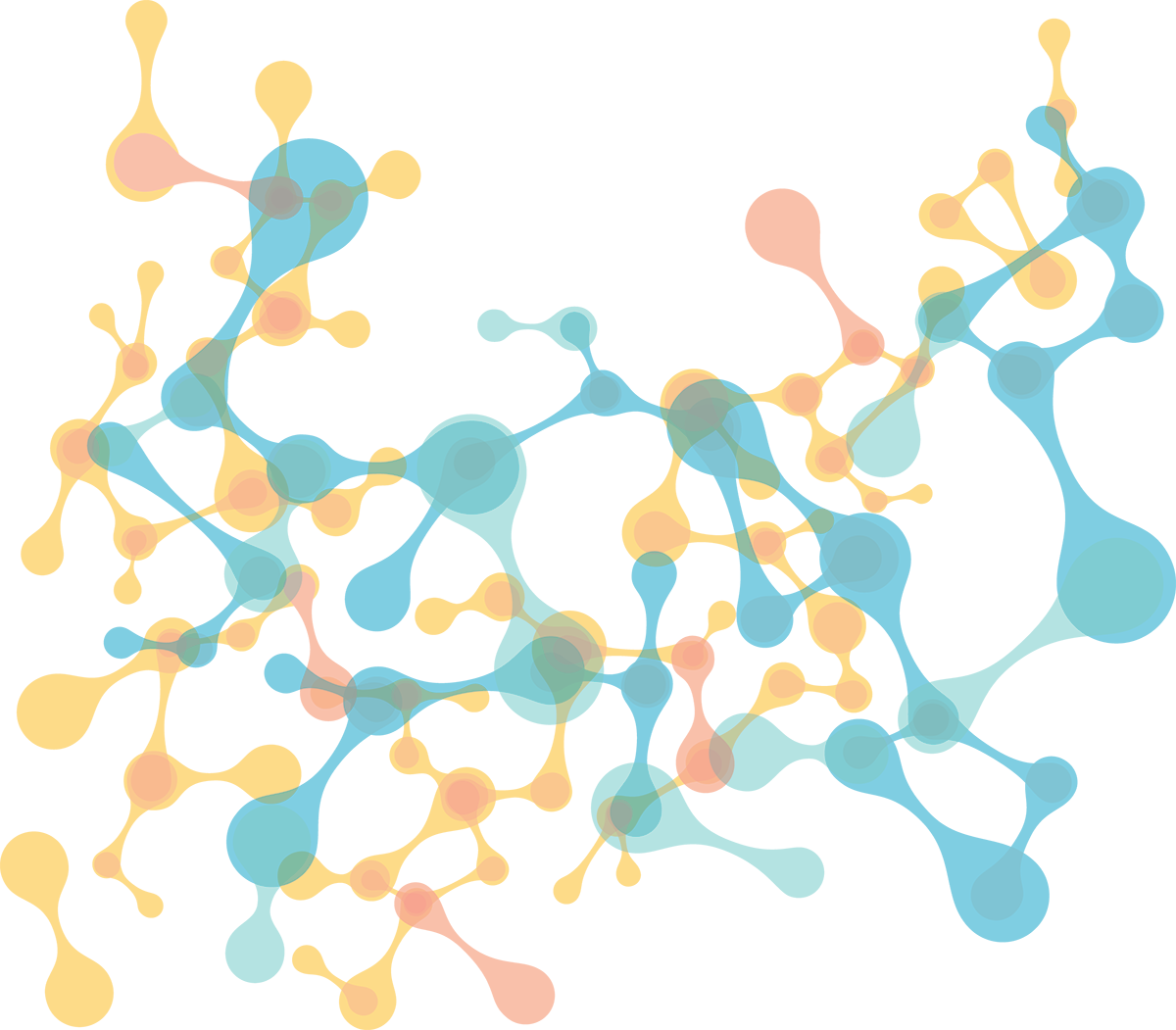 Physio Logy (1200x1051), Png Download