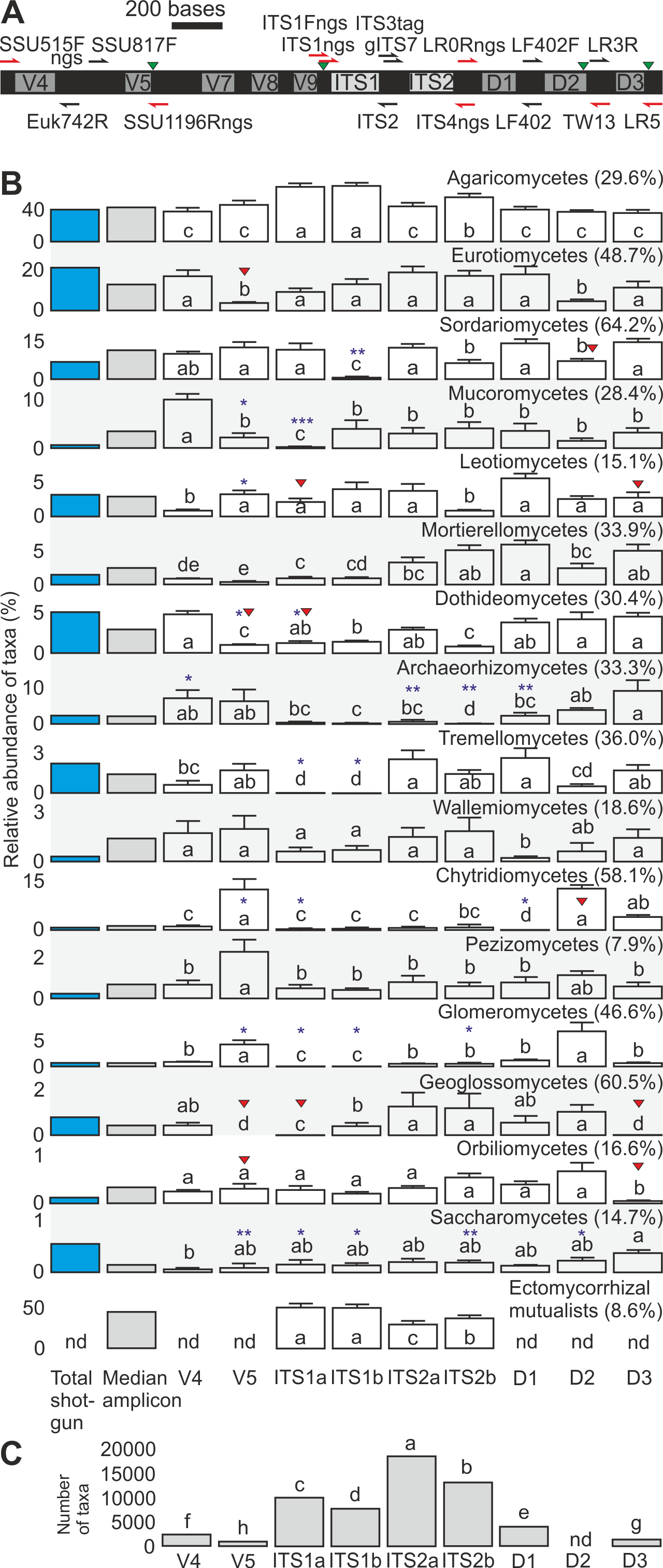 Musical Composition (1280x3027), Png Download