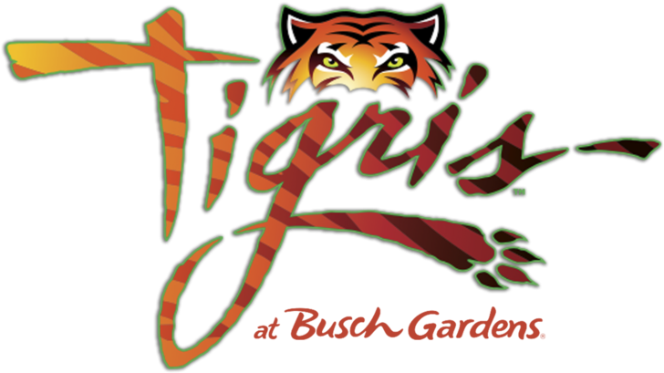 Busch Gardens' Roaring New Roller Coaster, Tigris, - Tigris Roller Coaster At Busch Gardens (750x422), Png Download