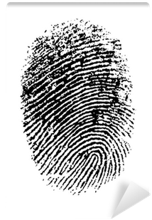 Rumi Quotes Minimalist (400x400), Png Download